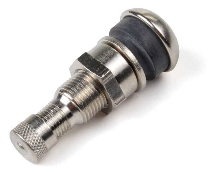 Tire Valve Stem and Cap (w/ Alloy Wheels)